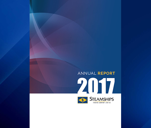 pdf annual report