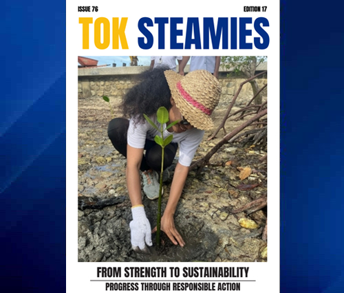 Tok Steamies Issue _76